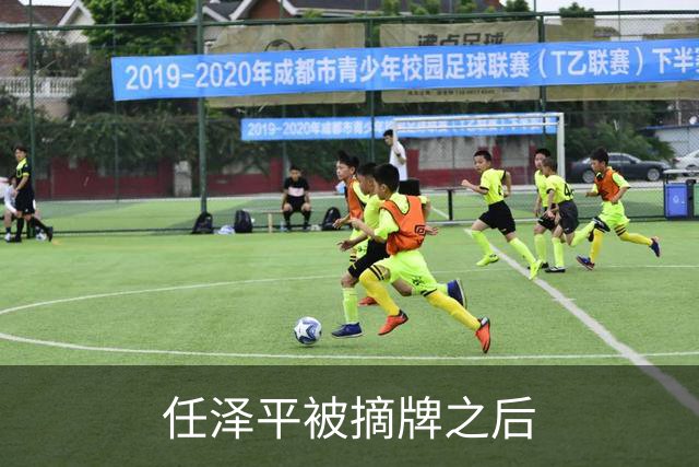 任泽平被摘牌之后