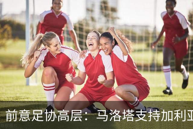 前意足协高层：马洛塔支持加利亚尼竞选足协主席，意甲已分裂