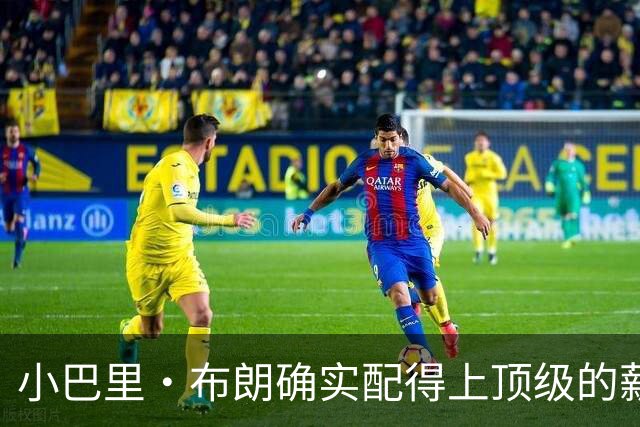 小巴里·布朗确实配得上顶级的薪水 无愧于联盟最顶级小外援