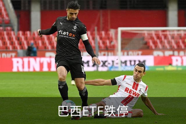 巴西ETF跌停