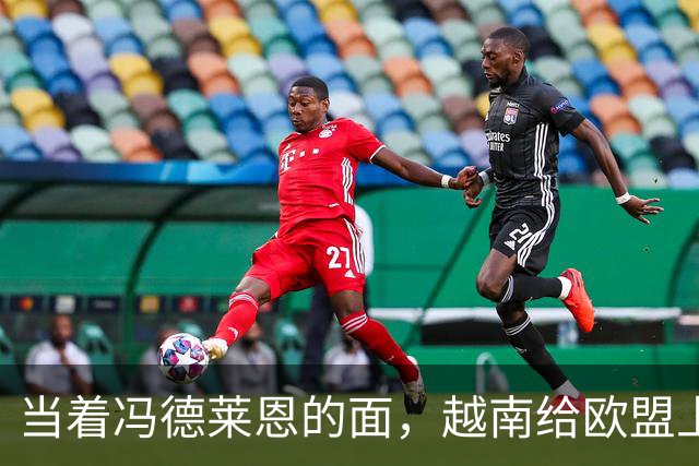当着冯德莱恩的面，越南给欧盟上了一课：什么叫“中国力量”