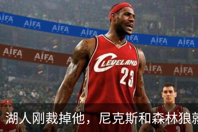 湖人刚裁掉他，尼克斯和森林狼就盯上了