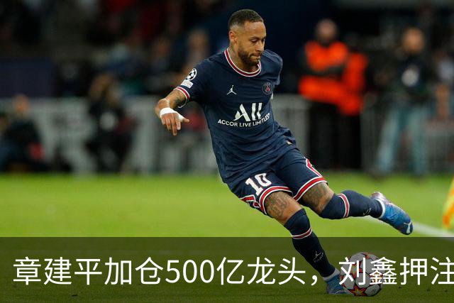 章建平加仓500亿龙头，刘鑫押注商业航天，多名牛散持仓曝光