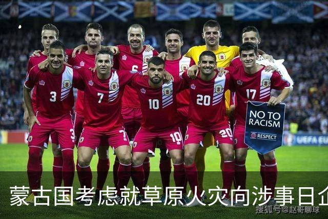 蒙古国考虑就草原火灾向涉事日企索赔