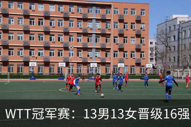 WTT冠军赛：13男13女晋级16强！国乒8人日本4人，张本智和一轮游